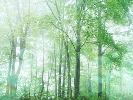 400378 (a): :1600x1200
